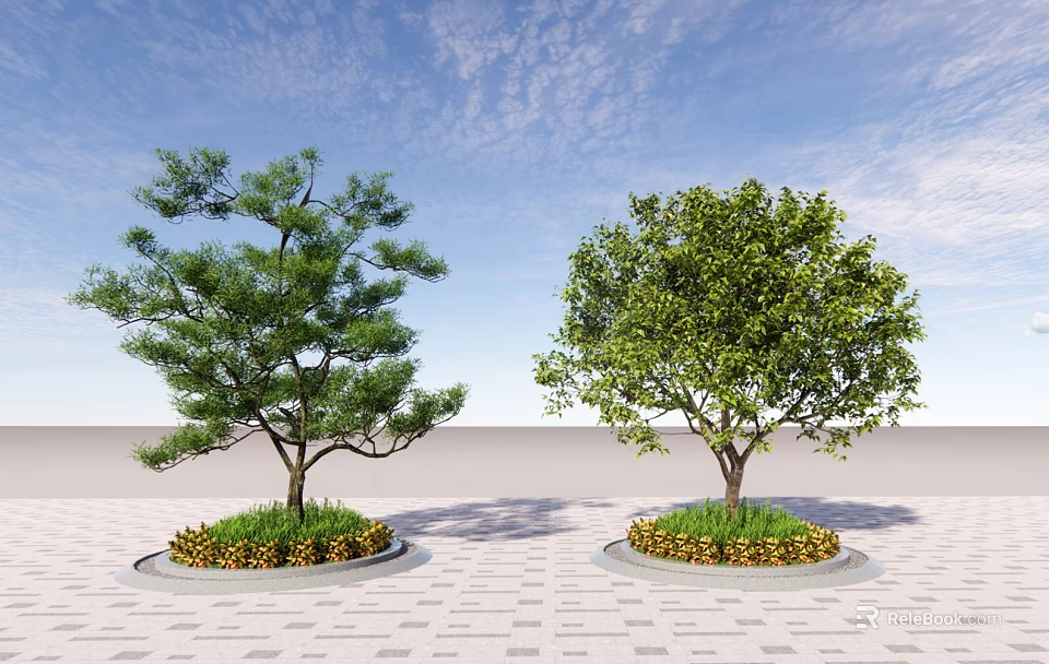 Two Lush Arbor Trees in Circular Planters on Paved Ground with Blue Sky 3d model 