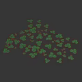 Fresh Green Clover Leaves Scattered On Clean White Background Surface