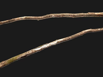 Natural Stone and Wood Branches Displaying Textured Surfaces and Organic Patterns 3d model