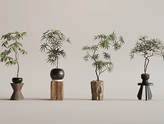 Middle Ancient Style Bonsai Green Plant 3d model