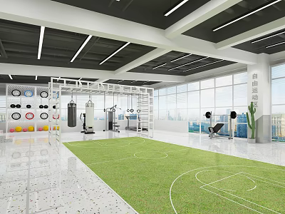 Spacious Modern Fitness Gym With Training Equipment Functional Turf Area And Large Windows 3d model