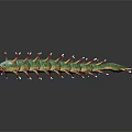 3D Rendered Green Caterpillar With Red White Spines And Patterns On Dark Background