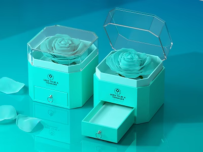 Elegant Decorative Ornament Set With Light Green Hexagonal Boxes Transparent Lids And Rose Shape 3d model