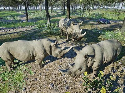 Three Reptiles In Natural Forest Habitat With Green Grass Stones And Yellow Flowers 3d model