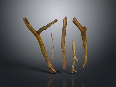 Natural Dry Tree Branches With Various Shapes And Sizes Arranged Against Gray Background 3d model