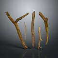 Natural Dry Tree Branches With Various Shapes And Sizes Arranged Against Gray Background