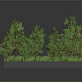 Cartoon Scene with Green Trees Grassy Area Black Path Stones and Yellow Flowers
