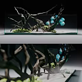 Glass Fish Tank With Driftwood Decorations Green Aquatic Plants Blue Ornaments And Sand Substrate