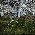 Natural Garden With White Flowers Lush Ferns Green Grass Rocks And Trees