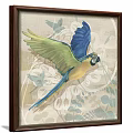 Decorative Animal Paintings of Parrots With Spread Wings and Botanical Elements in Wooden Frames