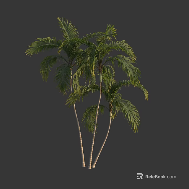 Natural Tropical Palm Trees With Three Trunks And Lush Green Fronds 3d model 