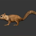 Realistic 3D Squirrel Model With Brown Fur Bushy Tail Standing On Gray Reflective Surface