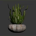 Green Lizard Resting On Marble Pot With Fresh Green Leaves