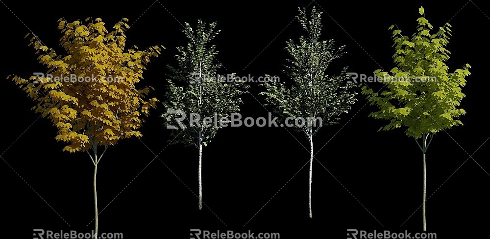 Tree Landscape Trees Tall Trees Tall Trees Landscape Plants Plant Trees Combination Flower Trees 3d model