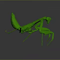 Detailed Green Mantis in Lifelike 3D Render With Dynamic Posture
