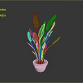 Green Indoor Plant With Large Leaves In White Pot And Gray Background