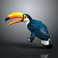Striking Toucan With Large Yellow Orange Beak Blue Body White Throat On Gray Background