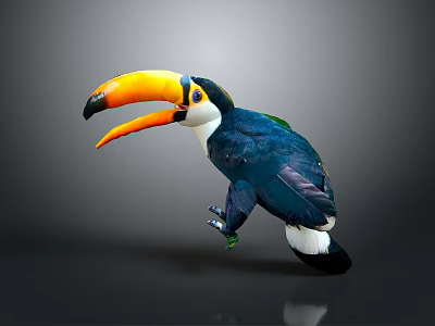 Striking Toucan With Large Yellow Orange Beak Blue Body White Throat On Gray Background 3d model