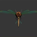 Insect with Green Transparent Wings and Brown Body on Reflective Surface