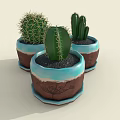 Three Indoor Decorative Cactus Bonsai Plants in Blue Brown Ceramic Pots with Patterns