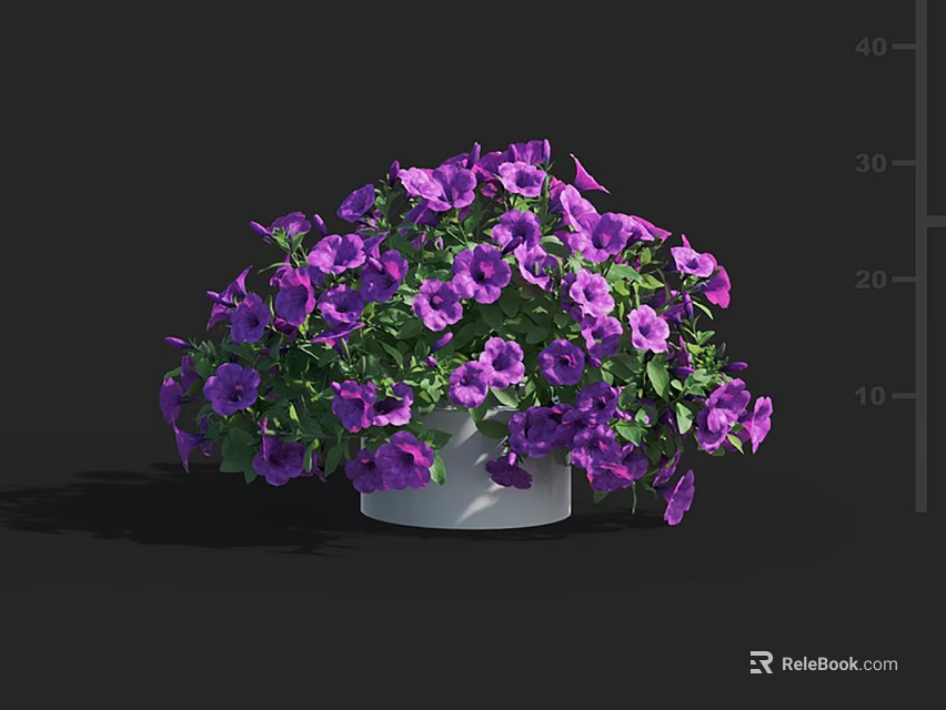 Lush Purple Petunias in White Pot with Vibrant Blooms and Green Foliage 3d model 
