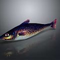 Colorful Spotted Fish With Blue Purple Body And Red Fins On Smooth Surface With Reflection