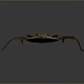 Giant Insect Specimen Featuring Detailed Brown Exoskeleton And Long Legs On Dark Background