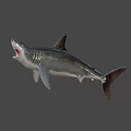 Large Gray Shark With Open Mouth And Sharp Fins In Deep Sea