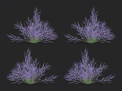 Purple Ornamental Grass Plants With Natural Growth For Garden Decor 3d model