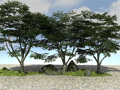 Arbor Trees With Lush Green Foliage Against Blue Sky And Pebble Ground 3d model