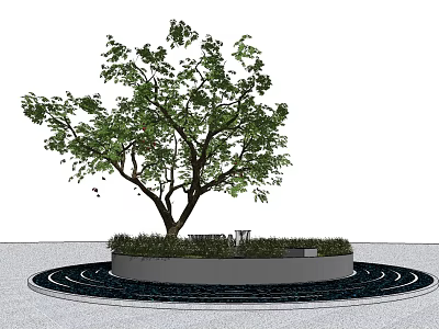 Circular Tree Pit Design With Green Leafy Tree Surrounding Circular Paving And Seating 3d model