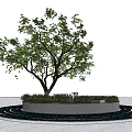 Circular Tree Pit Design With Green Leafy Tree Surrounding Circular Paving And Seating 3d model