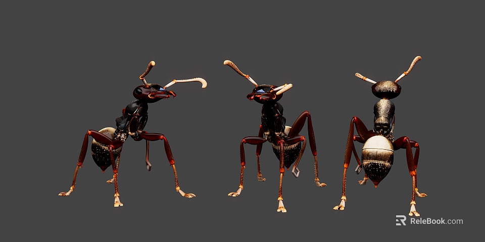 Three Reptiles With Antenna Like Appendages Crawling On Gray Background 3d model 