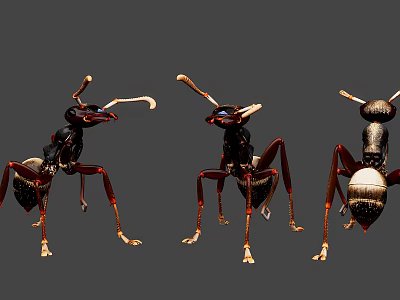 Three Reptiles With Antenna Like Appendages Crawling On Gray Background 3d model