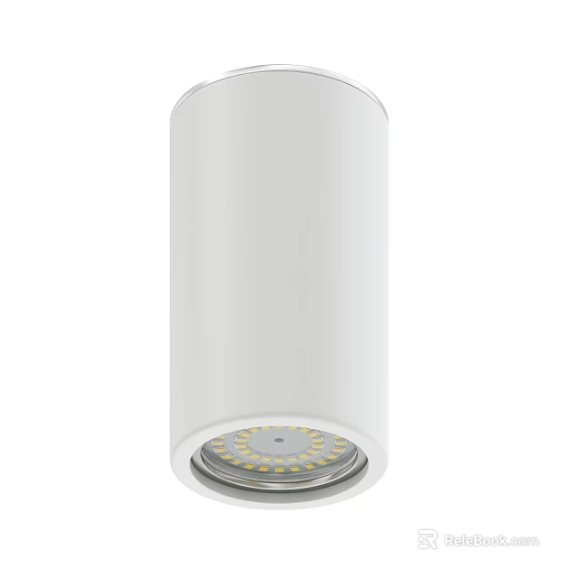 White Cylindrical Downlight Spotlight With LED Beads For Home Ceiling Lighting 3d model 
