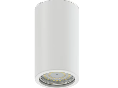 White Cylindrical Downlight Spotlight With LED Beads For Home Ceiling Lighting 3d model