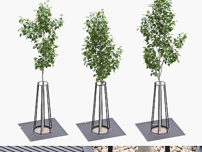 Outdoor Landscape Tree Outdoor Plant Greening Tree Landscape Trees Street 3d model