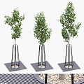 Outdoor Landscape Tree Outdoor Plant Greening Tree Landscape Trees Street 3d model