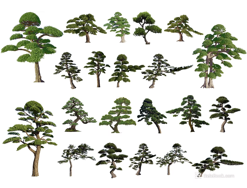 Diverse Decorative Plant Combinations With Various Tree Shapes And Lush Green Foliage 3d model 
