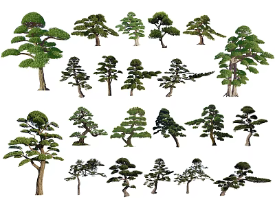 Diverse Decorative Plant Combinations With Various Tree Shapes And Lush Green Foliage 3d model