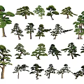 Diverse Decorative Plant Combinations With Various Tree Shapes And Lush Green Foliage