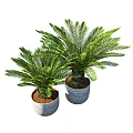 Two Lush Green Bonsai Potted Plants In Gray Textured Ceramic Pots