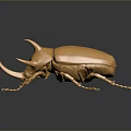 Golden Metallic Beetle With Shiny Surface And Detailed Horns On Dark Background