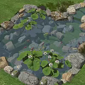 Garden Pond with Stones Lily Pads Water Lilies and Fish in Green Grass