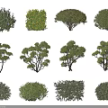 Various Types of Garden Shrubs with Different Green Foliage Shapes for Landscaping Design