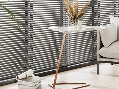 Stylish Side Table in Modern Living Room with Blinds Sofa Plant and Books 3d model