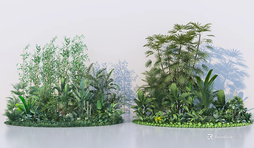 Ground Cover Plants with Bamboo Palm Leaves and Tropical Green Foliage for Garden Landscaping 3d model 