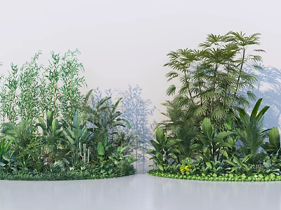 Ground Cover Plants with Bamboo Palm Leaves and Tropical Green Foliage for Garden Landscaping 3d model