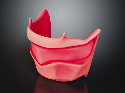 Detailed Anatomical Oral Organ Model Displaying Pink Gingiva And Jaw Structure 3d model