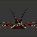 Red Aquatic Lobster With Long Antennae And Legs On Gray Gradient Background